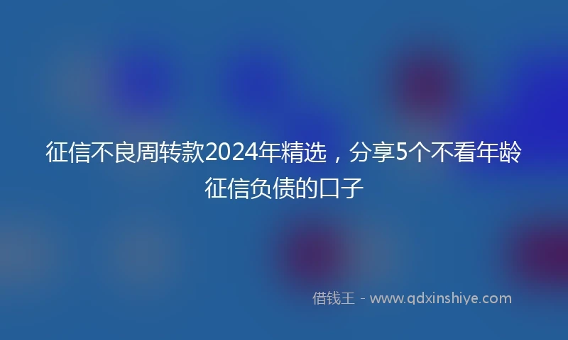 征信不良周转款2024年精选，分享5个不看年龄征信负债的口子