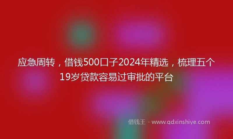 应急周转，借钱500口子2024年精选，梳理五个19岁贷款容易过审批的平台