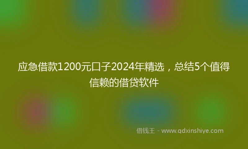 应急借款1200元口子2024年精选，总结5个值得信赖的借贷软件