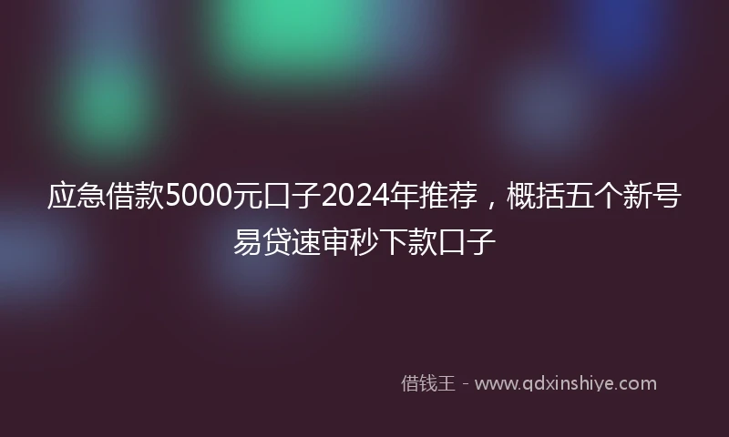 应急借款5000元口子2024年推荐，概括五个新号易贷速审秒下款口子