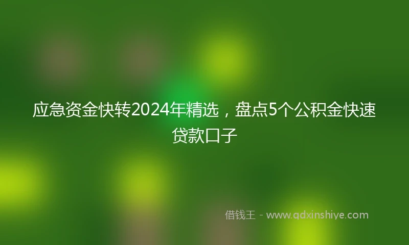 应急资金快转2024年精选，盘点5个公积金快速贷款口子