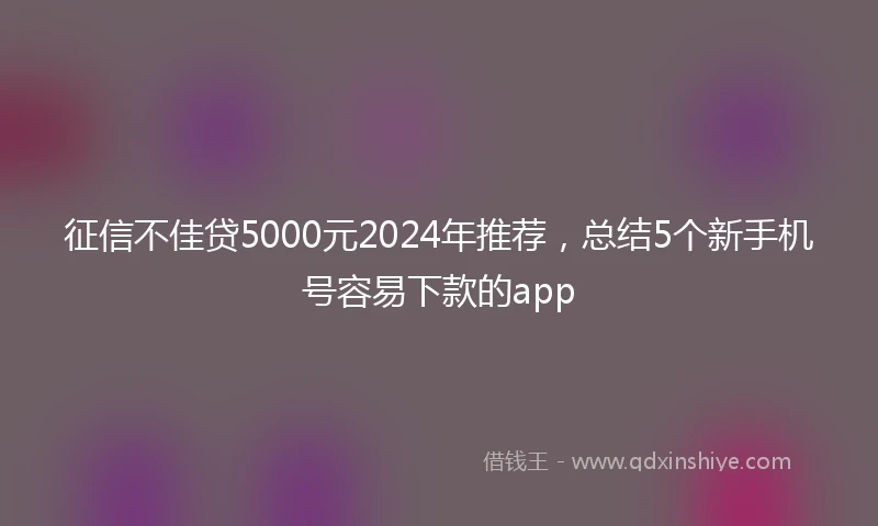 征信不佳贷5000元2024年推荐，总结5个新手机号容易下款的app
