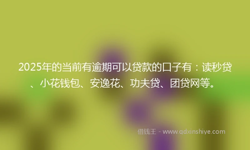 2025年的当前有逾期可以贷款的口子有：读秒贷、小花钱包、安逸花、功夫贷、团贷网等。