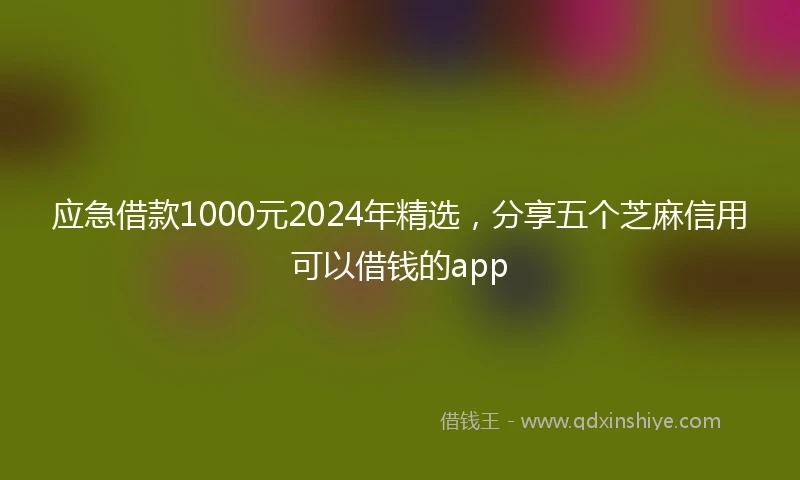 应急借款1000元2024年精选，分享五个芝麻信用可以借钱的app