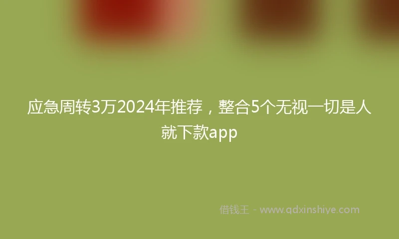 应急周转3万2024年推荐，整合5个无视一切是人就下款app