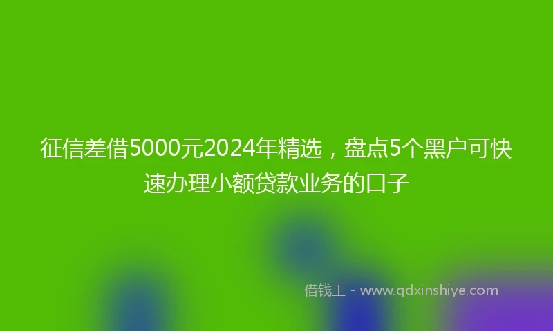 征信差借5000元2024年精选，盘点5个黑户可快速办理小额贷款业务的口子