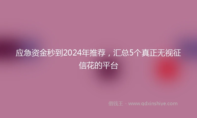 应急资金秒到2024年推荐，汇总5个真正无视征信花的平台