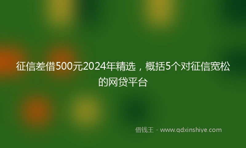 征信差借500元2024年精选，概括5个对征信宽松的网贷平台