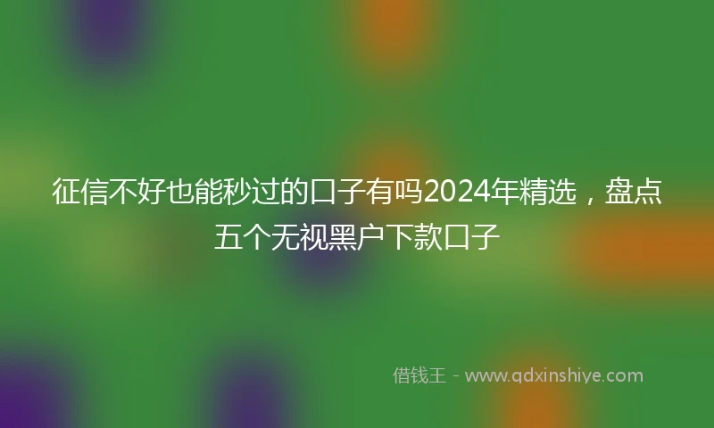 征信不好也能秒过的口子有吗2024年精选，盘点五个无视黑户下款口子