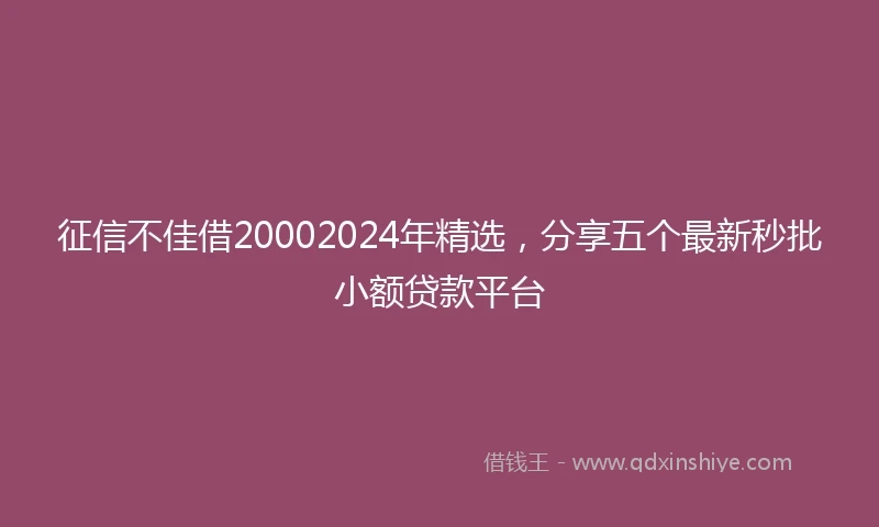 征信不佳借20002024年精选，分享五个最新秒批小额贷款平台