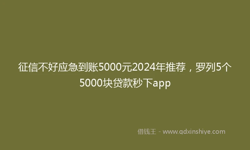 征信不好应急到账5000元2024年推荐，罗列5个5000块贷款秒下app