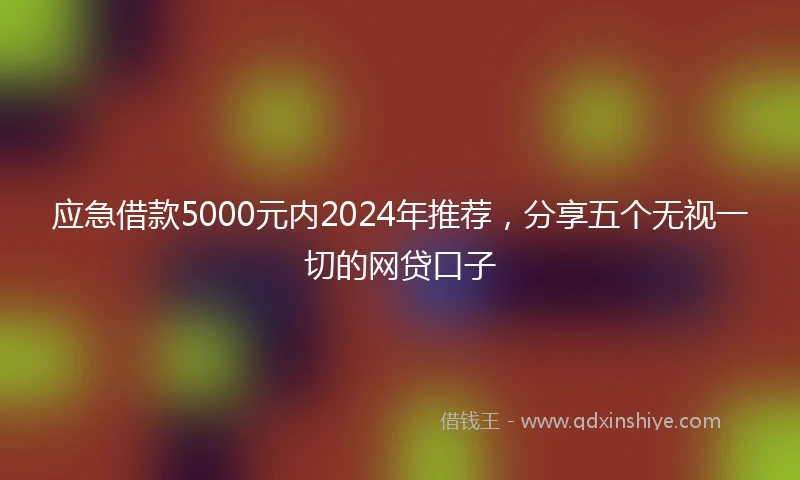 应急借款5000元内2024年推荐，分享五个无视一切的网贷口子