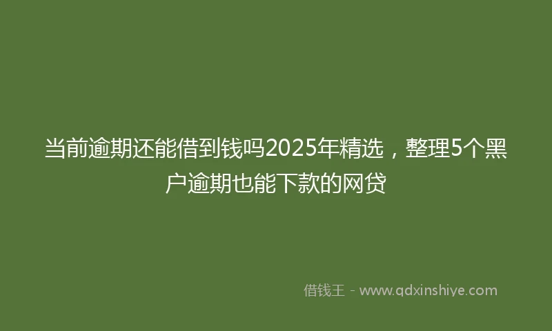 当前逾期还能借到钱吗2025年精选，整理5个黑户逾期也能下款的网贷