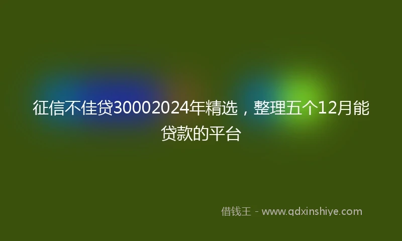 征信不佳贷30002024年精选，整理五个12月能贷款的平台