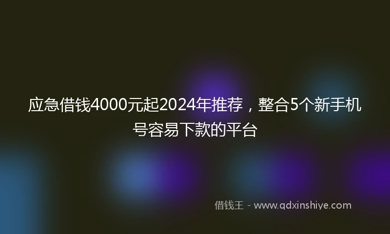 应急借钱4000元起2024年推荐，整合5个新手机号容易下款的平台