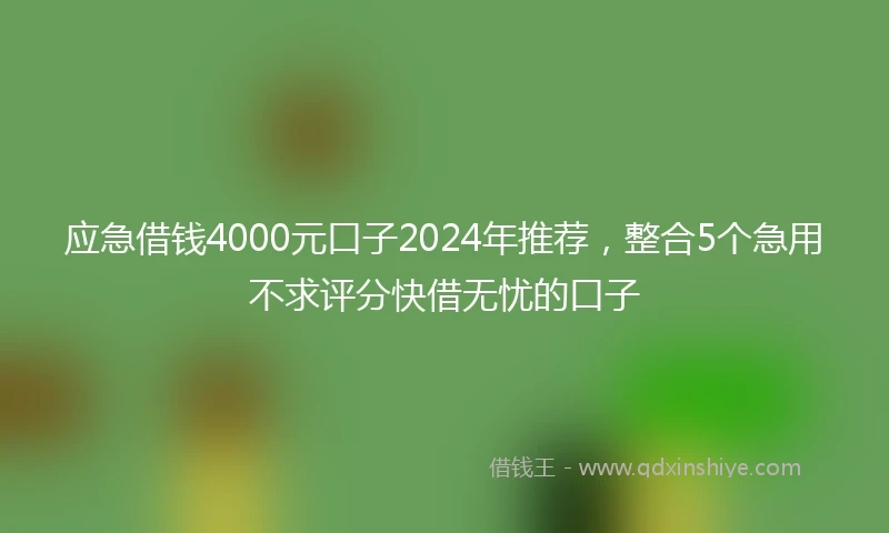 应急借钱4000元口子2024年推荐，整合5个急用不求评分快借无忧的口子