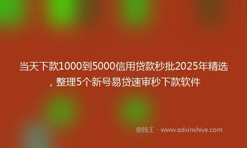当天下款1000到5000信用贷款秒批2025年精选，整理5个新号易贷速审秒下款软件