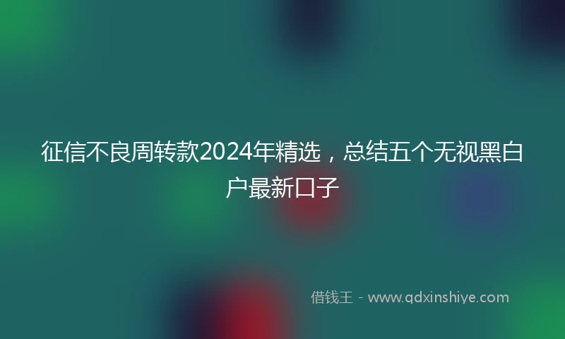征信不良周转款2024年精选，总结五个无视黑白户最新口子