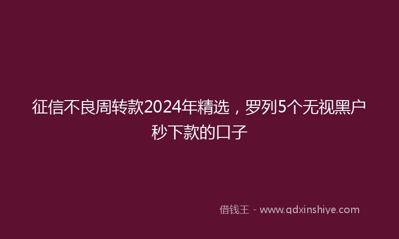 征信不良周转款2024年精选，罗列5个无视黑户秒下款的口子