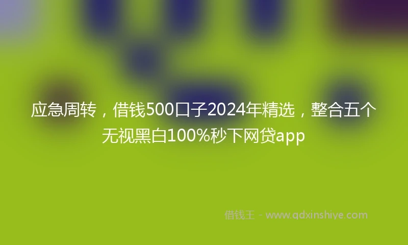 应急周转，借钱500口子2024年精选，整合五个无视黑白100%秒下网贷app