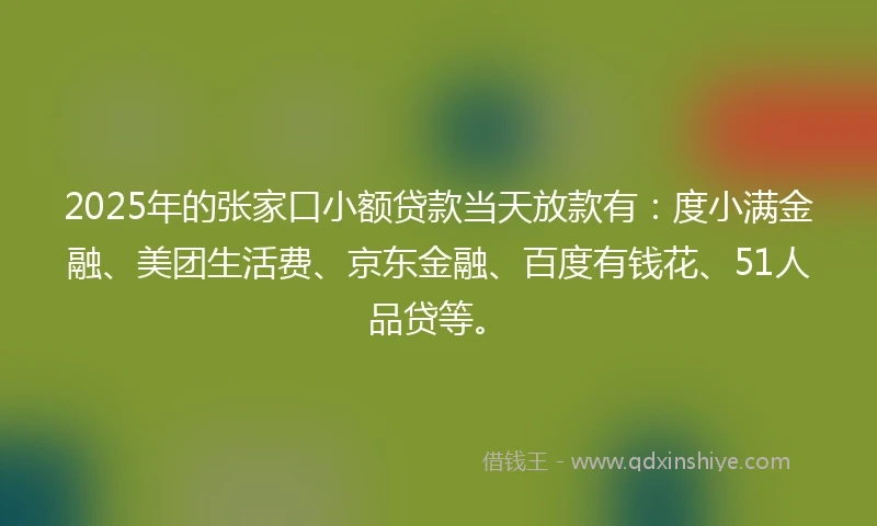 2025年的张家口小额贷款当天放款有：度小满金融、美团生活费、京东金融、百度有钱花、51人品贷等。