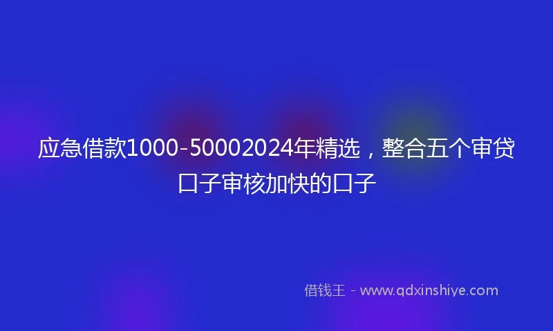 应急借款1000-50002024年精选，整合五个审贷口子审核加快的口子