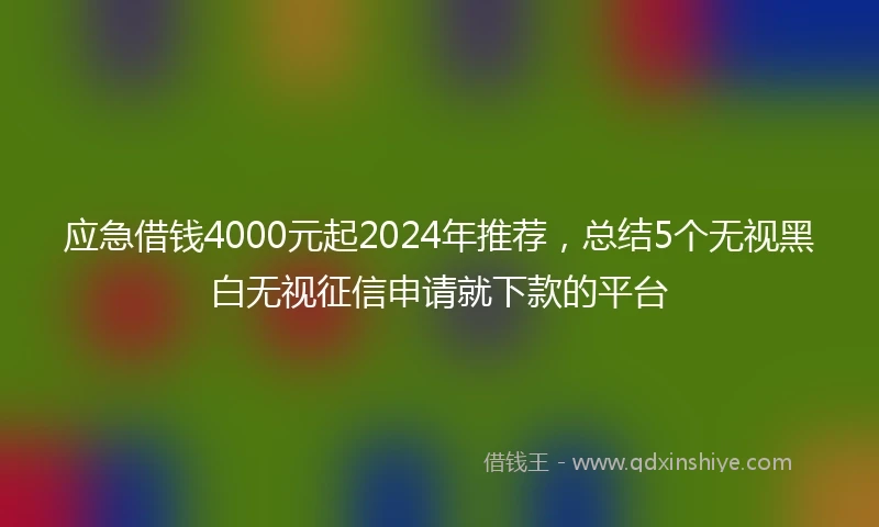 应急借钱4000元起2024年推荐，总结5个无视黑白无视征信申请就下款的平台