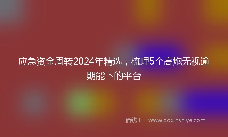 应急资金周转2024年精选，梳理5个高炮无视逾期能下的平台