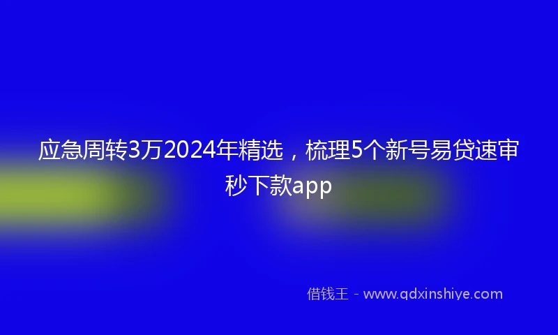 应急周转3万2024年精选，梳理5个新号易贷速审秒下款app