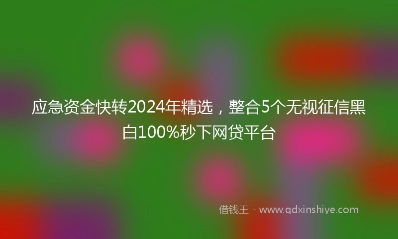 应急资金快转2024年精选，整合5个无视征信黑白100%秒下网贷平台