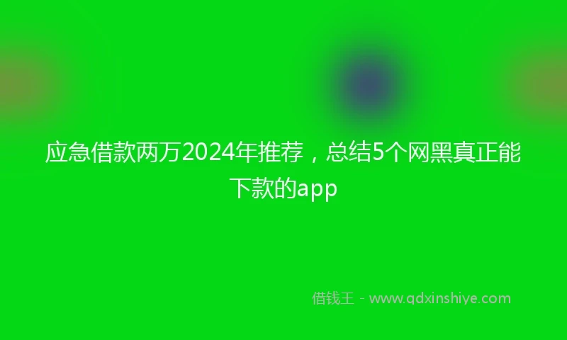 应急借款两万2024年推荐，总结5个网黑真正能下款的app