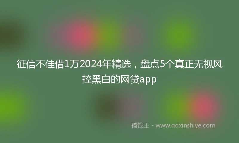 征信不佳借1万2024年精选，盘点5个真正无视风控黑白的网贷app
