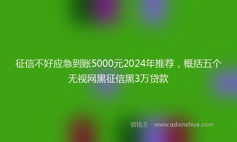 征信不好应急到账5000元2024年推荐，概括五个无视网黑征信黑3万贷款