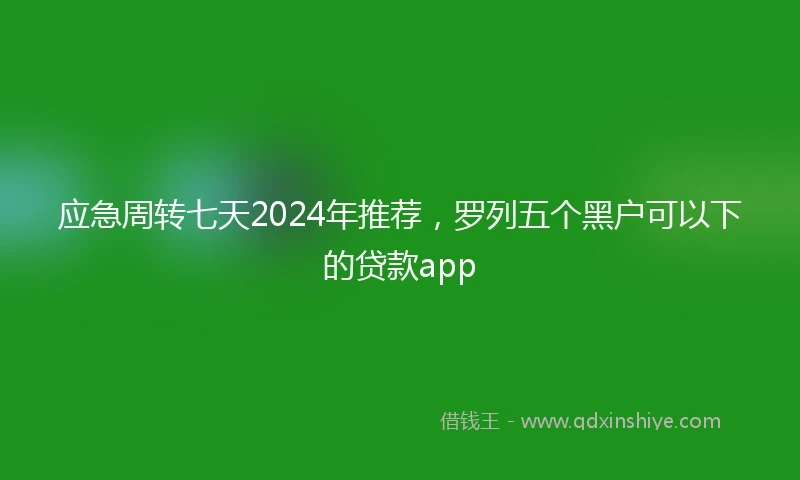 应急周转七天2024年推荐，罗列五个黑户可以下的贷款app