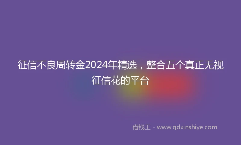 征信不良周转金2024年精选，整合五个真正无视征信花的平台