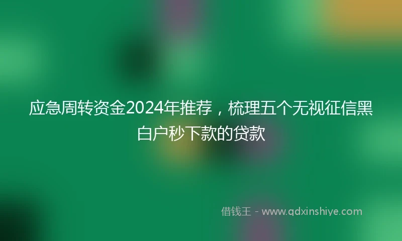 应急周转资金2024年推荐，梳理五个无视征信黑白户秒下款的贷款