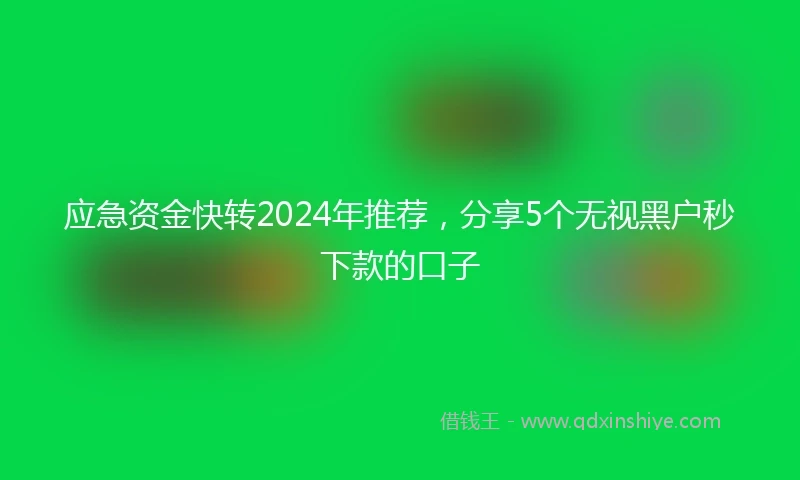 应急资金快转2024年推荐，分享5个无视黑户秒下款的口子