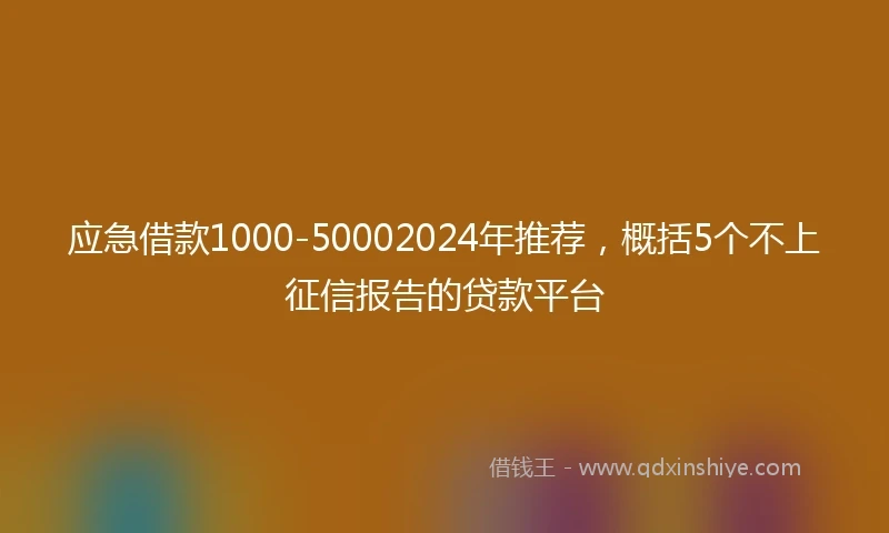 应急借款1000-50002024年推荐，概括5个不上征信报告的贷款平台
