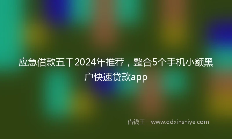 应急借款五千2024年推荐，整合5个手机小额黑户快速贷款app
