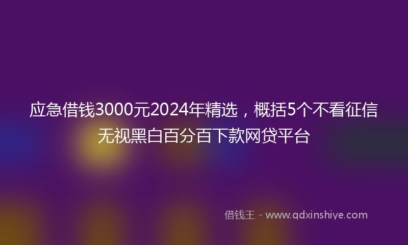应急借钱3000元2024年精选，概括5个不看征信无视黑白百分百下款网贷平台