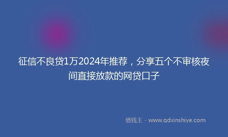 征信不良贷1万2024年推荐，分享五个不审核夜间直接放款的网贷口子