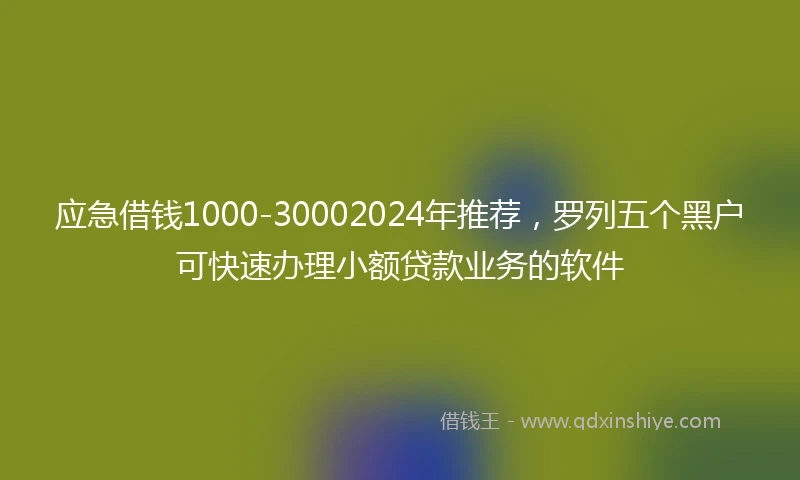 应急借钱1000-30002024年推荐，罗列五个黑户可快速办理小额贷款业务的软件