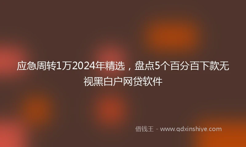 应急周转1万2024年精选，盘点5个百分百下款无视黑白户网贷软件