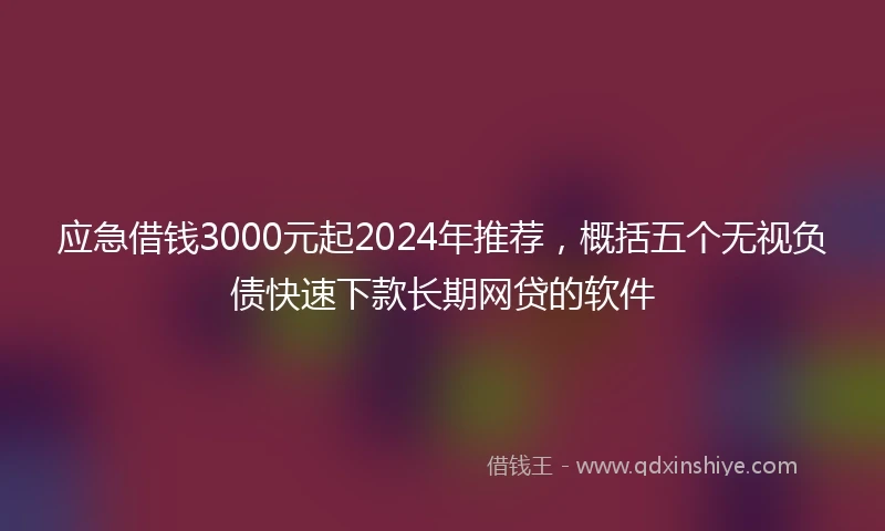 应急借钱3000元起2024年推荐，概括五个无视负债快速下款长期网贷的软件