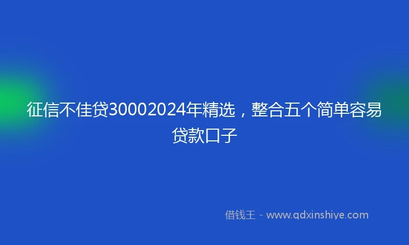 征信不佳贷30002024年精选，整合五个简单容易贷款口子