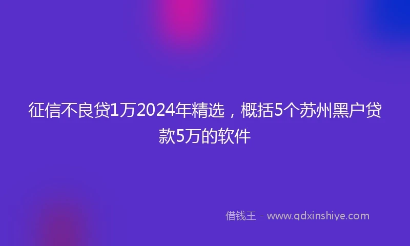 征信不良贷1万2024年精选，概括5个苏州黑户贷款5万的软件