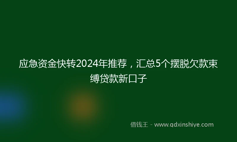 应急资金快转2024年推荐，汇总5个摆脱欠款束缚贷款新口子