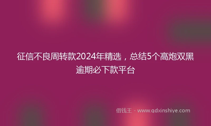 征信不良周转款2024年精选，总结5个高炮双黑逾期必下款平台