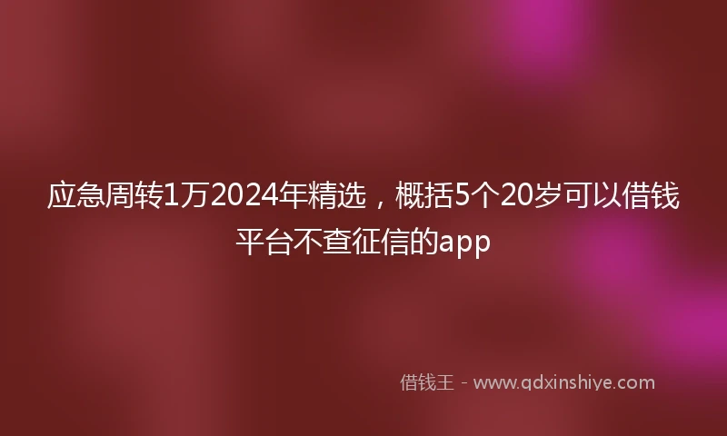 应急周转1万2024年精选，概括5个20岁可以借钱平台不查征信的app