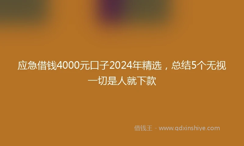应急借钱4000元口子2024年精选，总结5个无视一切是人就下款